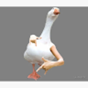 Meet your Posher, Eirinn